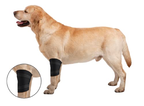 ZenPet Elbow Wrap for Dogs (Small)