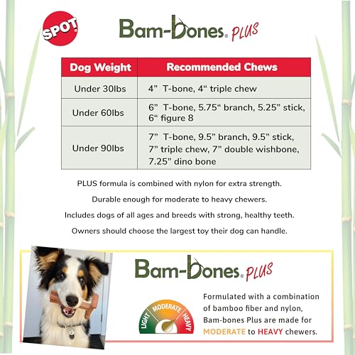 SPOT Bam-bones PLUS T Bone - Bamboo Fiber & Nylon, Durable Long Lasting Dog Chew for Aggressive Chewers – Great Toy for Adult Dogs & Teething Puppies under 60lbs, Non-Splintering, 6in, Beef Flavor