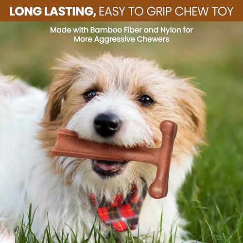 SPOT Bam-bones PLUS T Bone - Bamboo Fiber & Nylon, Durable Long Lasting Dog Chew for Aggressive Chewers – Great Toy for Adult Dogs & Teething Puppies under 60lbs, Non-Splintering, 6in, Beef Flavor