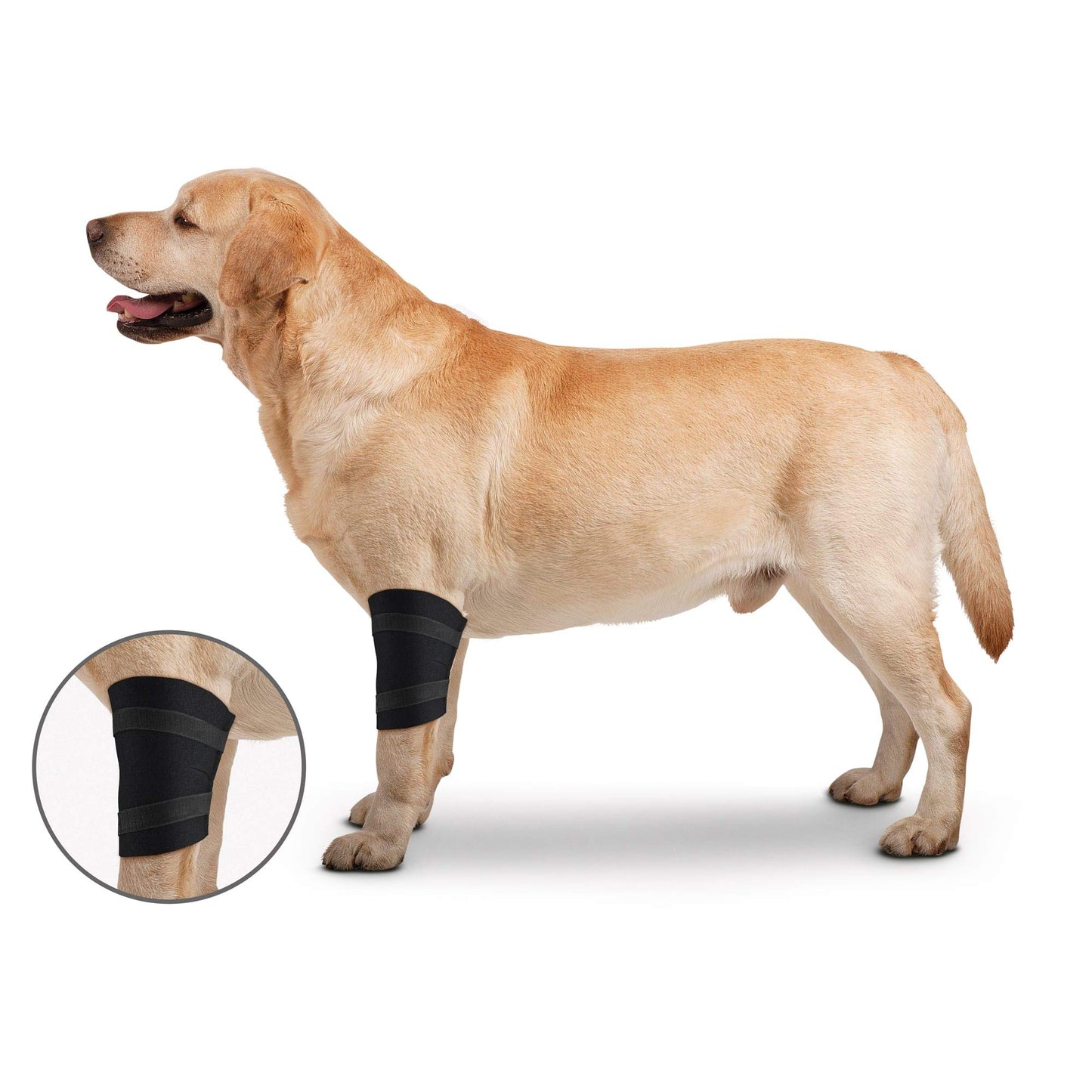 ZenPet Elbow Wrap for Dogs (Small)