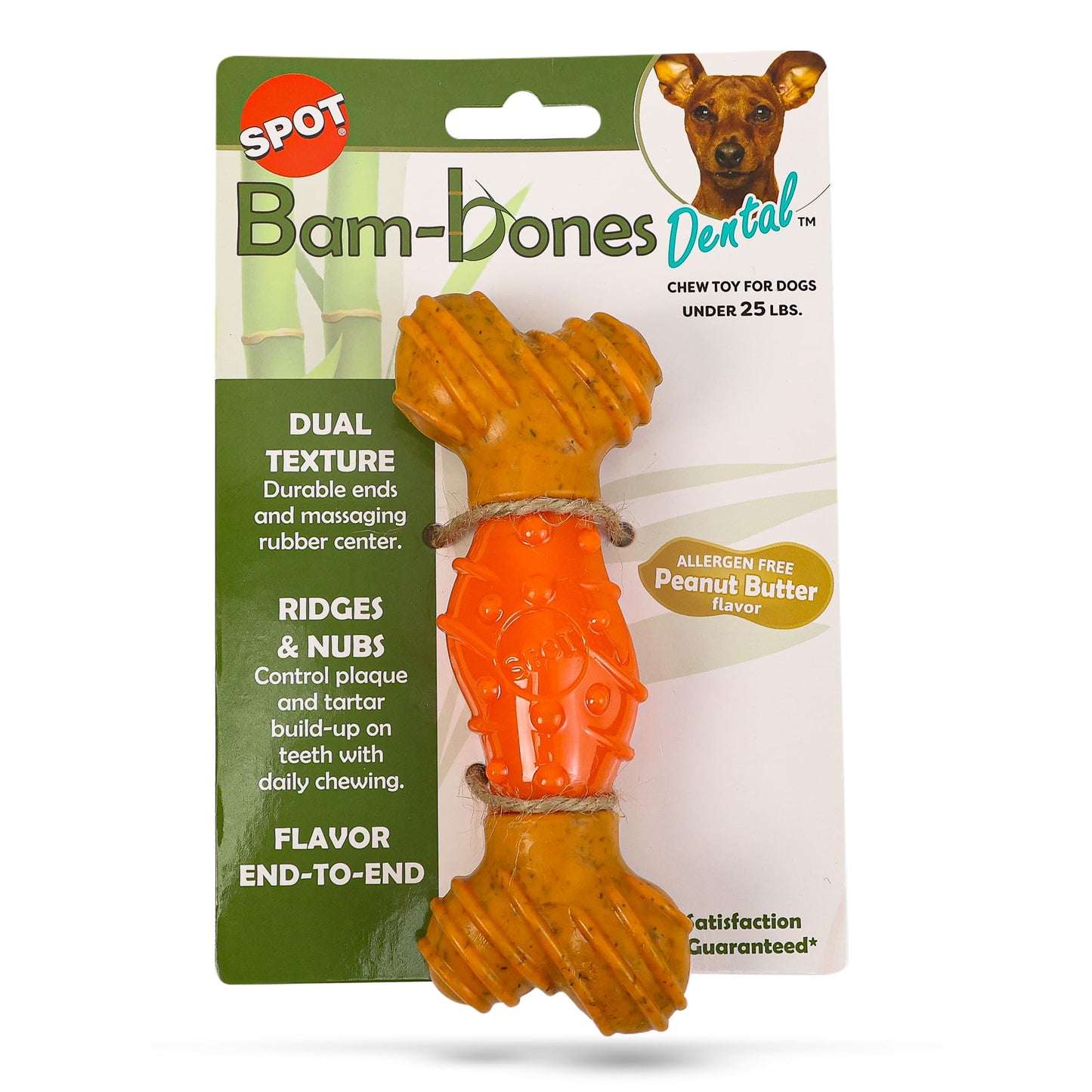 SPOT Bam-Bones Dental Bone - Made with Bamboo Fiber and a Massaging Rubber Center, Durable Oral Care Dog Chew for Light Chewers & Teething Puppies Under 25lbs, 6in Allergen Free Peanut Butter Flavor