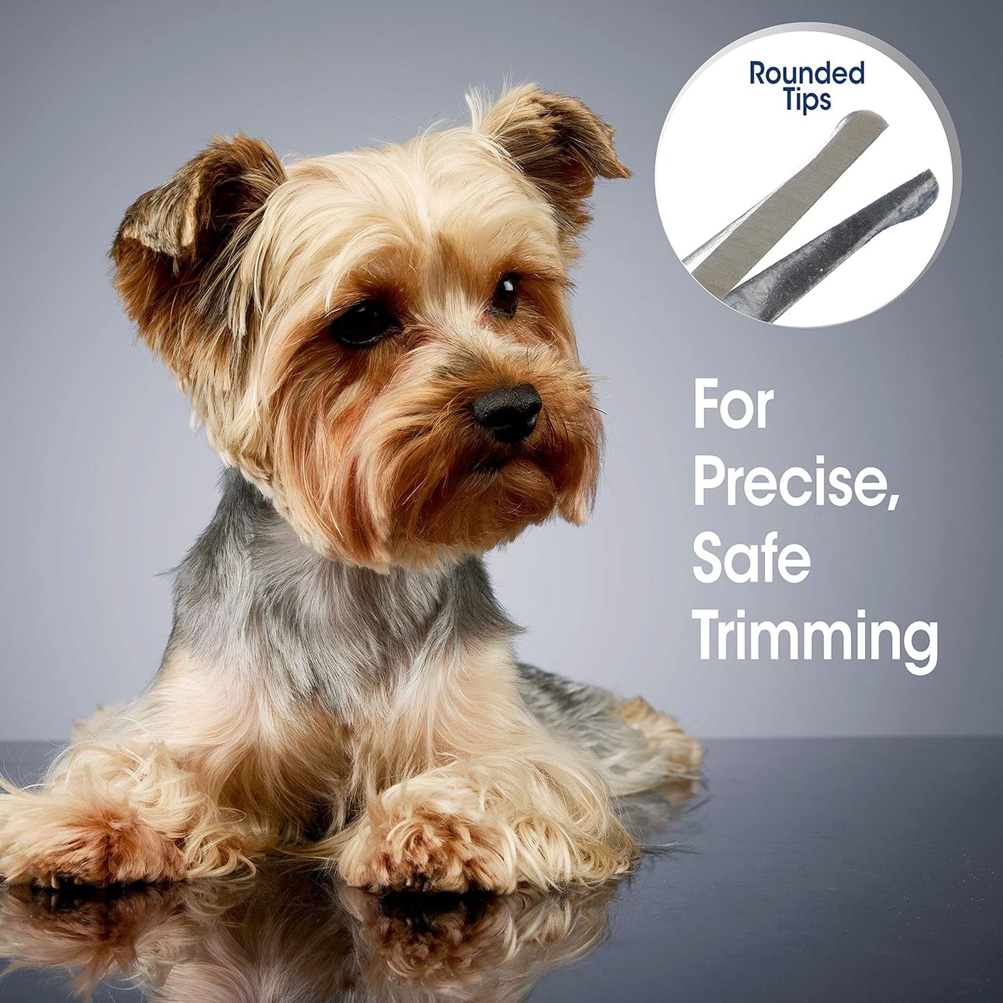 Four Paws Magic Coat Professional Series Grooming Brushes for Dogs & Cats l Trimmers, Nail Clippers, & Brushes Dog & Cat