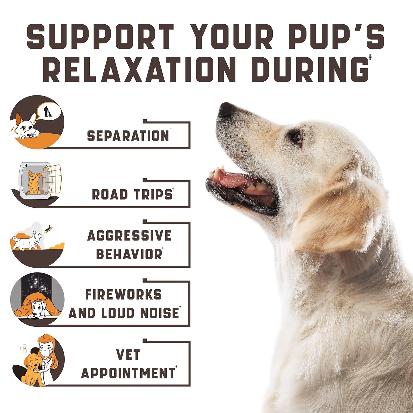 Calming Chews for Labrador Dogs with Valerian Root and Hemp Oil   Aid during Car